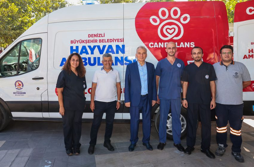 Buyuksehirden can dostlara ozel hayvan ambulansi 5 - Büyükşehir’den Denizli’de bir ilk